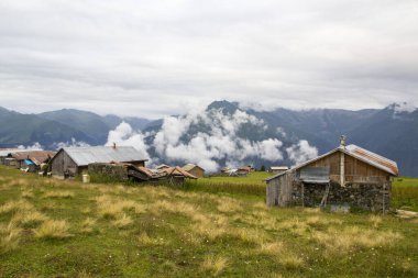 Türkiye 'nin Trabzon kenti yakınlarındaki dağlarda güzel doğa manzarası