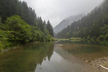 Fırtınalı bir günde, sisli bir günde dağların ve yeşil ormanın yansımaları. Karadeniz, Trabzon, Türkiye 'nin ünlü turizm merkezlerinden biri.