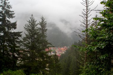 Uzungol (Uzun Göl), Türkiye 'nin en güzel turistik bölgelerinden biridir. Trabzon, Türkiye 'de alabalık gölü ve küçük bir köyü olan dağ vadisi. Yerel halk ve turistler için popüler bir yer