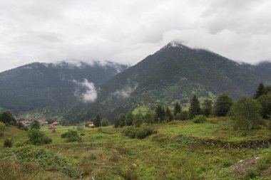 Uzungol (Uzun Göl), Türkiye 'nin en güzel turistik bölgelerinden biridir. Trabzon, Türkiye 'de alabalık gölü ve küçük bir köyü olan dağ vadisi. Yerel halk ve turistler için popüler bir yer