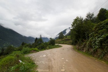 Türkiye 'nin Trabzon kenti yakınlarındaki dağlarda güzel doğa manzarası