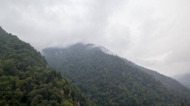 Ayder Platosu Sisli Orman ve Doğal Şelale (Türkçe: Gelintulu Şelalesi) Rize - Türkiye