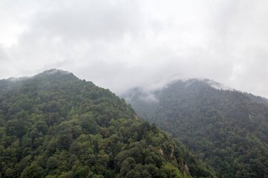 Ayder Platosu Sisli Orman ve Doğal Şelale (Türkçe: Gelintulu Şelalesi) Rize - Türkiye