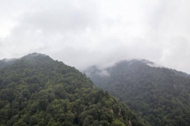 Ayder Platosu Sisli Orman ve Doğal Şelale (Türkçe: Gelintulu Şelalesi) Rize - Türkiye