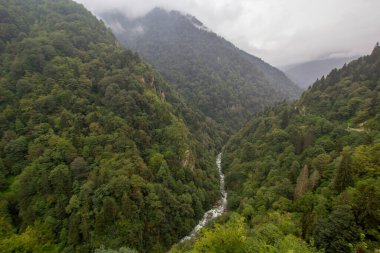 Scenic view of mountain river at in Trabzon,Turkey