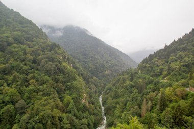 Scenic view of mountain river at in Trabzon,Turkey