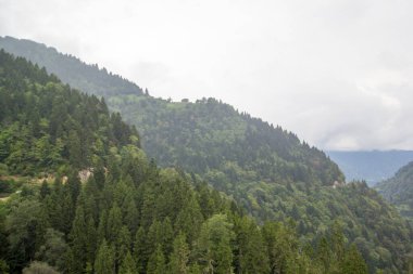 Ayder Platosu Sisli Orman ve Doğal Şelale (Türkçe: Gelintulu Şelalesi) Rize - Türkiye