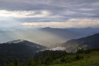 Türkiye 'nin Trabzon kenti yakınlarındaki dağlarda güzel doğa manzarası
