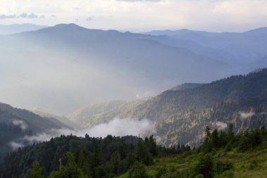 Türkiye 'nin Trabzon kenti yakınlarındaki dağlarda güzel doğa manzarası