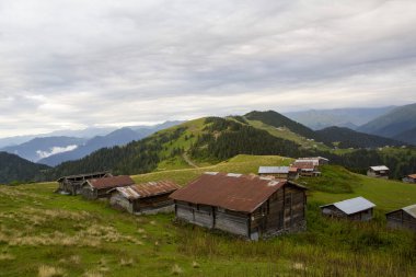 Türkiye 'nin Trabzon kenti yakınlarındaki dağlarda güzel doğa manzarası