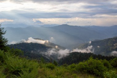Türkiye 'nin Trabzon kenti yakınlarındaki dağlarda güzel doğa manzarası