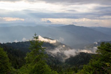 Türkiye 'nin Trabzon kenti yakınlarındaki dağlarda güzel doğa manzarası