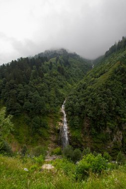 Ayder Platosu Sisli Orman ve Doğal Şelale (Türkçe: Gelintulu Şelalesi) Rize - Türkiye