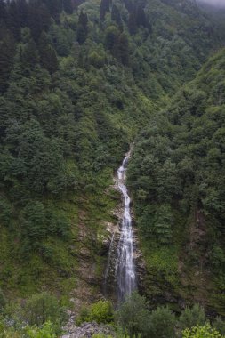 Ayder Platosu Sisli Orman ve Doğal Şelale (Türkçe: Gelintulu Şelalesi) Rize - Türkiye