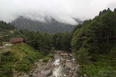 Rize, Türkiye - 07 Ağustos 2018: Çayırda akan küçük bir akarsuyun görüntüsü. Sisli dağlar ve ağaçlarla muhteşem bir dinlenme yeri Camlihemsin, Rize, Türkiye