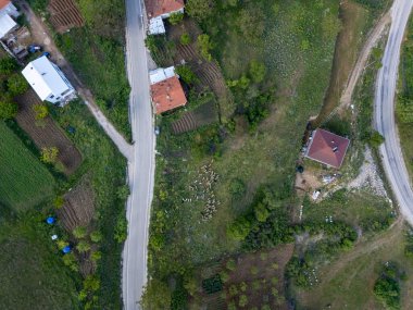 Gelemi, Bursa, Türkiye 'deki kırsal yol, evler ve yeşil tarlaların tepeden tırnağa insansız hava aracı görüntüsü. Küçük koyun sürüsü tarımsal araziler ve kırsal alanlarla çevrili bir çayırda otluyor.. 