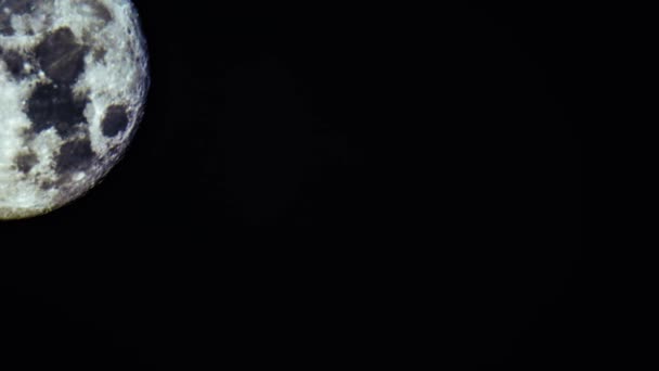 Luna Llena Grande Mueve Cielo Negro Imágenes Alta Calidad — Vídeo de stock