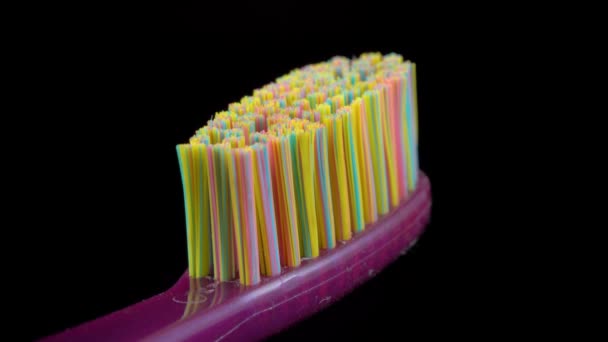 牙刷的刷毛紧贴黑色的特写 高质量的4K镜头 — 图库视频影像