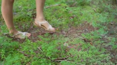 Kadınların bacakları orman yolunda yürür. Yüksek kalite 4k görüntü