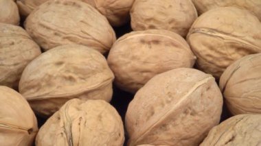 Kabuklu ceviz. Yüksek kalite 4k görüntü
