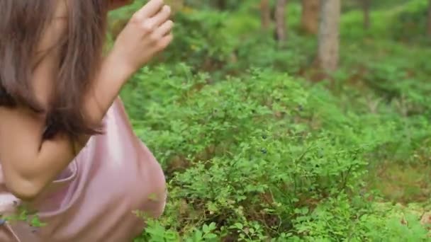 Mädchen Pflückt Beeren Wald Hochwertiges Filmmaterial — Stockvideo