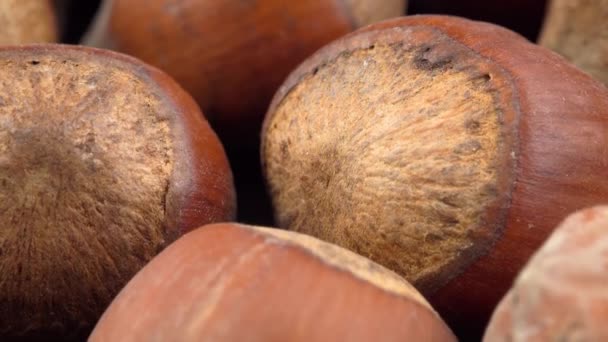 Hazelnuts Close Camera Movement High Quality Footage — Stock Video