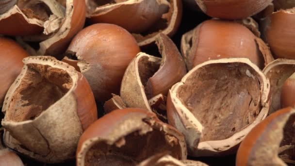 Many Hazelnut Shells Top View High Quality Footage — Stock Video