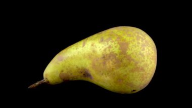 Armut meyvesi siyah arkaplanda döner. Yüksek kalite 4k görüntü