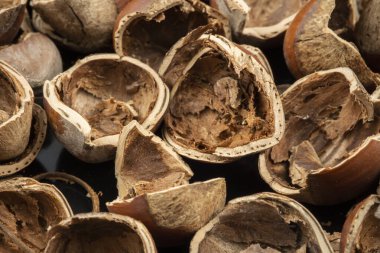 Bir sürü fındık kabuğu. Fındık kabuğunu kapat. Yüksek kalite fotoğraf