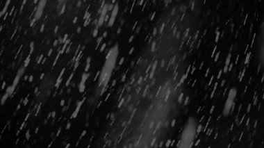 Yağmur ve ıslak kar, yağan kar siyaha izole edilmiş. Büyük ve küçük kar taneleri, ıssız düşen kar taneleri. Yüksek kalite fotoğraf