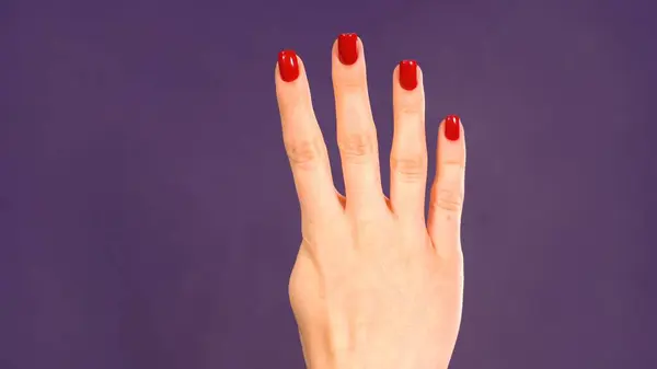 Female hand counting from 4 on purple background. Girl shows four fingers. Count. High quality photo
