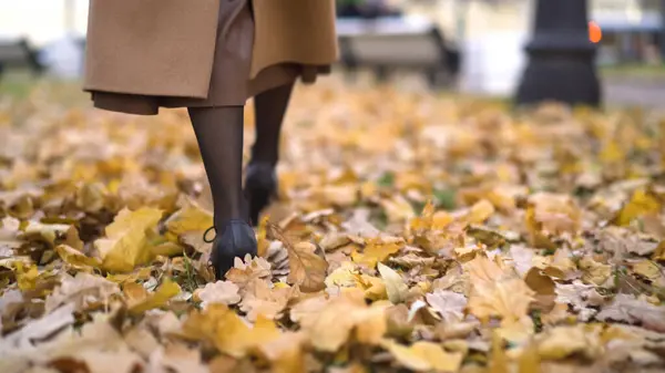 Girl legs walking on golden autumn leaves. High quality photo