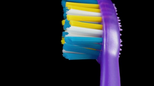 Paarse Tandenborstel Met Blauwe Gele Borstels Macro Hoge Kwaliteit Beeldmateriaal — Stockvideo