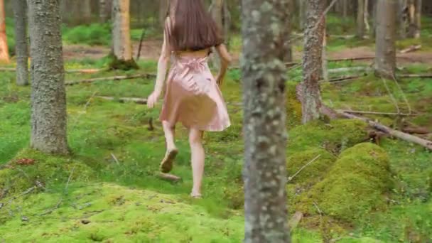 Una Chica Bosque Corre Alrededor Los Pinos Imágenes Alta Calidad — Vídeo de stock