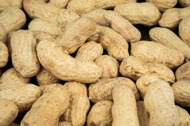 Kabuklu bir sürü fıstık. Yer fıstığı. Yüksek kalite fotoğraf