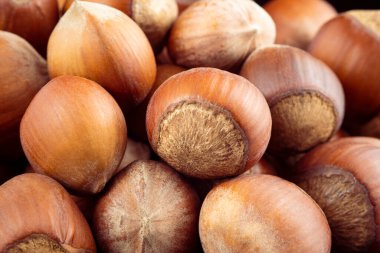 Ekstrem makroda bir sürü fındık. Yüksek kalite fotoğraf