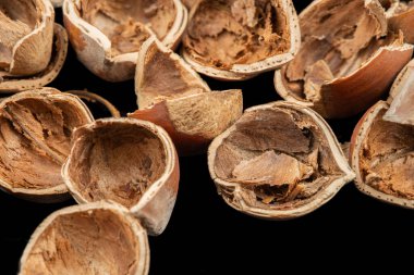 Bir sürü fındık kabuğu. Yüksek kalite fotoğraf