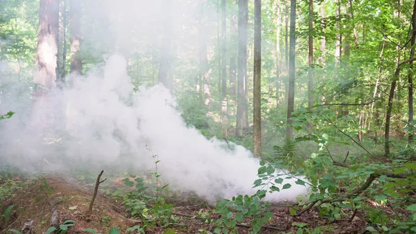 stock image Smoke grenade. Smoke screen in the forest. High quality photo