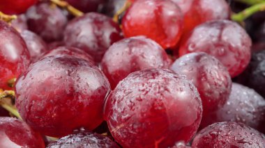 Su damlalı kırmızı üzümler. Yüksek kalite fotoğraf