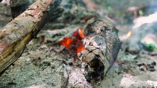 smoking log from the fire. smoke rising from logs wood branches. High quality photo