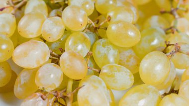 Bir demet yeşil üzümü kapat. Yüksek kalite fotoğraf