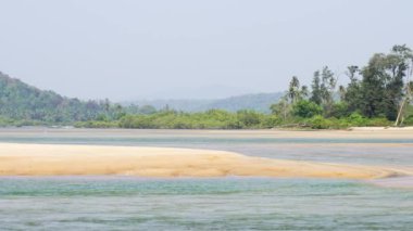 Sarı kum ve palmiye ağaçlarıyla sığ bir sahil. Yüksek kaliteli video