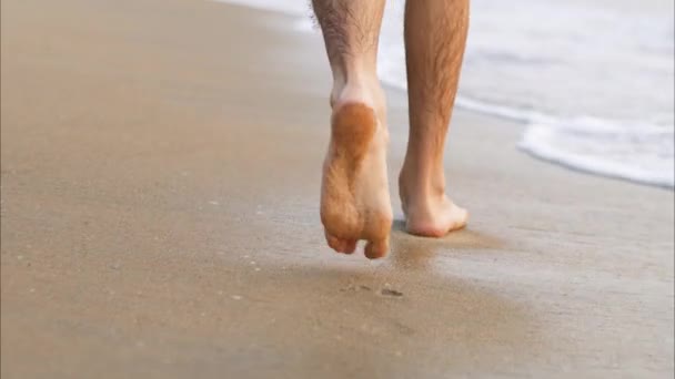 Mens Feet Walk Shore Line Leaving Footprints High Quality Video — Stock Video