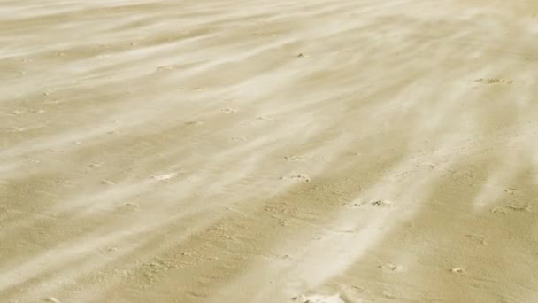 Sandstorm Öknen Med Gyllene Sand Högkvalitativ Video — Stockvideo