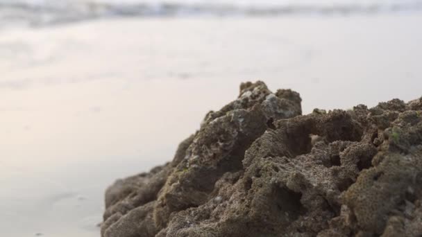 Stora Korallstenar Stranden Högkvalitativ Video — Stockvideo