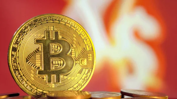 Bulanık Dolar Işareti Arkaplanındaki Bitcoin Yüksek Kalite Fotoğraf - Stok İmaj