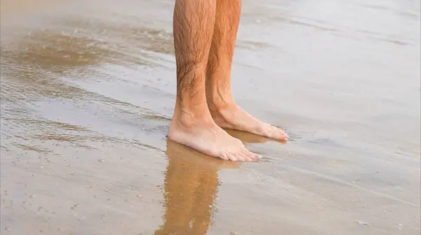 Feet on the beach. Feet on beach by the water. High quality photo
