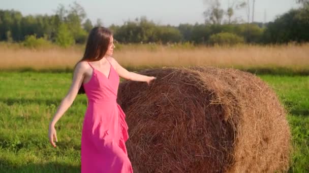 Una Chica Campo Está Lado Pajar Video Alta Calidad — Vídeos de Stock