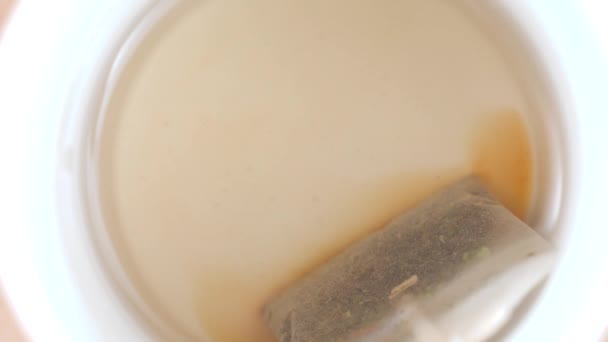 Teafiltert Forró Vízben Főzzük Egy Csésze Fehér Teát Kiváló Minőségű — Stock videók