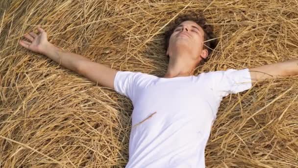 小麦畑で 幸せな男が 干し草に横たわってる 高品質のビデオ — ストック動画